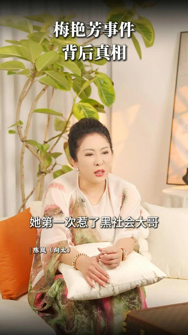 梅艳芳被黑社会掌掴真相_梅艳芳黑社会恩怨_香港黑社会 娱乐圈