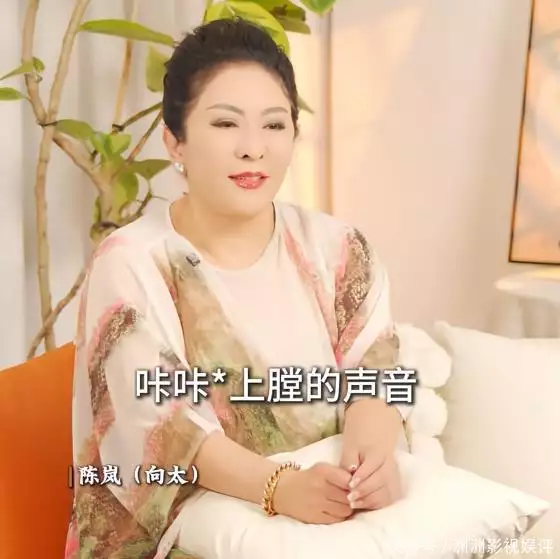 香港黑社会  娱乐圈_梅艳芳向太黑社会事件_向太梅艳芳恩怨