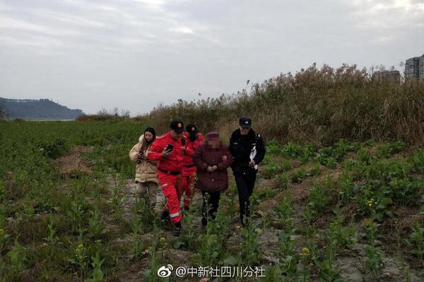 蜜桃精产国品一二三产区怎么用?新手常见问题与详细操作指南图片