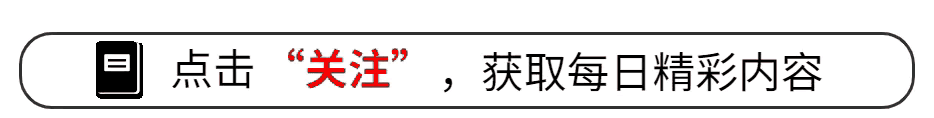 武林外史在线观看_沈浪武功排名_武林外史武功排名
