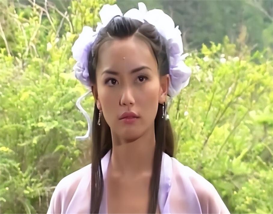 新加坡女明星有哪些_新加坡经典电视剧 内地热播 女星现状