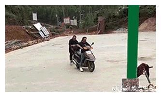 陈冠希杨颖早年合照 艳照门事件影响 杨颖陈冠希关系_娱乐圈门事件照片